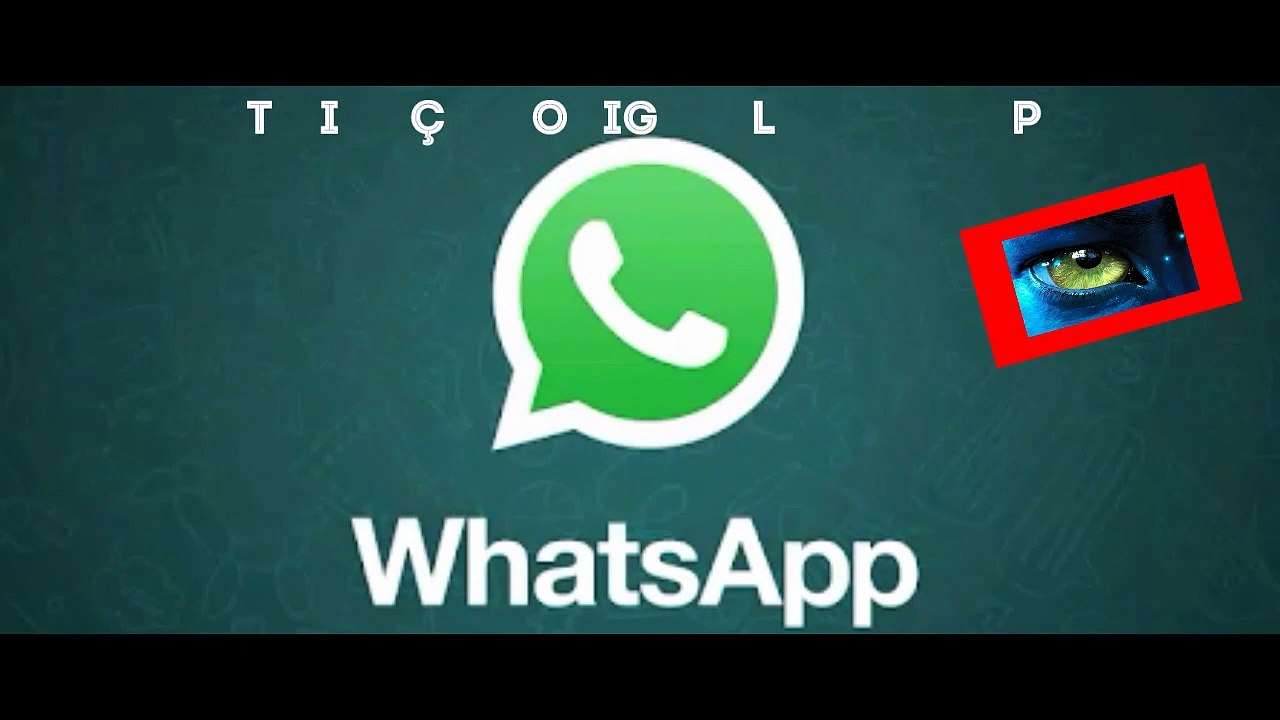 NOTIFICAÇÃO ORIGINAL  (WHATSAPP)