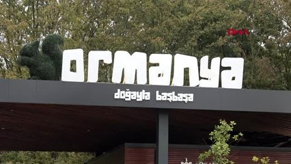Kocaeli ormanya'da doğa ile baş başa
