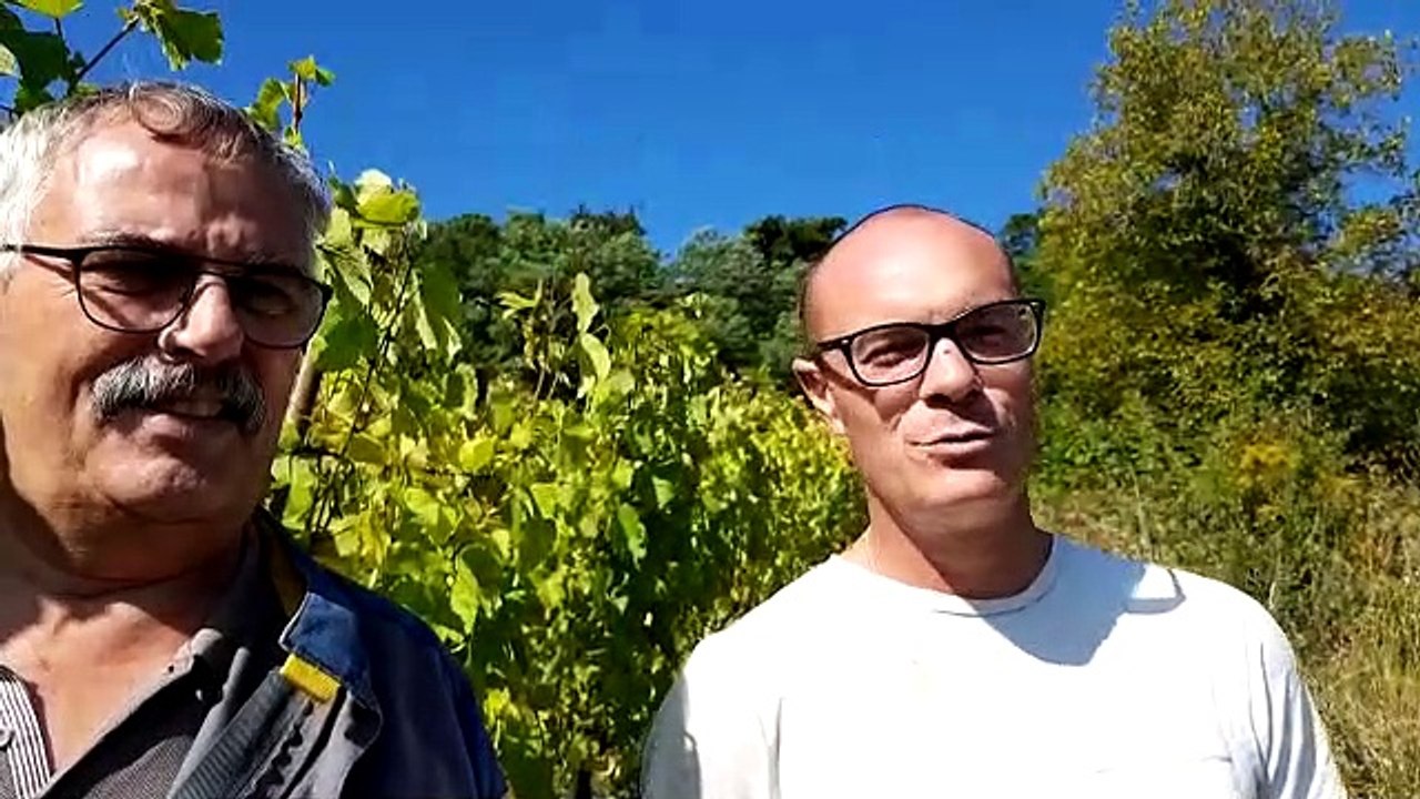 A Marange Silvange, Philippe Joly a entamé ses dernières vendanges