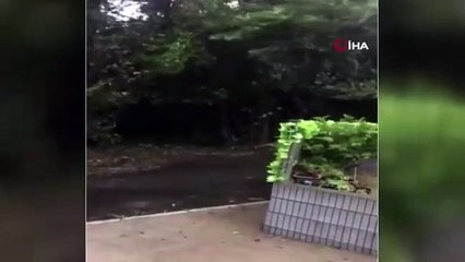 Japonya yine alarmda: 270 uçuş iptal edildi
