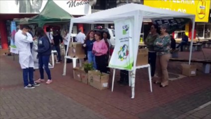 Dia da árvore: 2.400 mudas estão sendo distribuídas no Calçadão Central