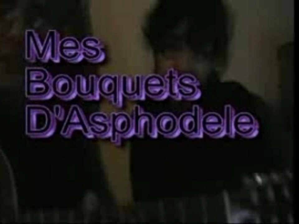 mes bouquets d'asphodéles_reprise Marie Laforet