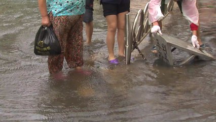 "최고 600mm 폭우"...주택 침수 피하려면? / YTN