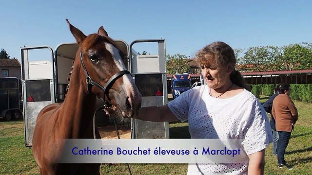 Feurs: concours des éleveurs de la Loire