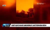 Ngeri! Kebakaran Hutan dan Lahan di Muaro Jambi Membuat Langit Berwarna Merah