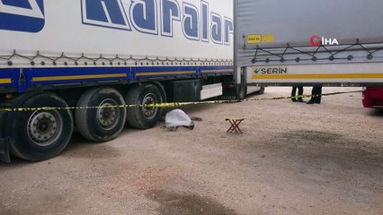 Uzun yoldan geldi, kalbine yenik düştü