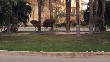 Luxurious Villa in 6th of October City  Royal Hills   2000 SQM