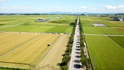 '하늘과 땅이 만나는 그곳' 지평선 축제, 그리고 새만금 해넘이 / YTN