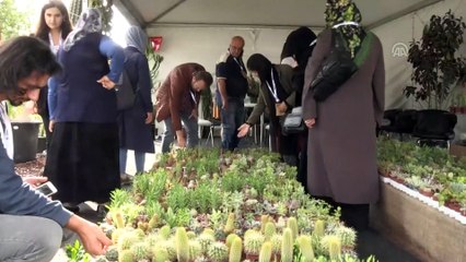 'Peyzaj ve Süs Bitkiciliği Festivali' - SAKARYA