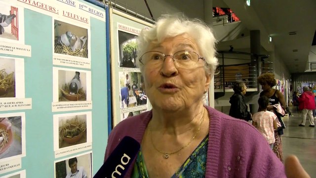 Lyliane Pringuet pour la société colombophile L'éclair de Martigues