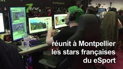 "Z event", le marathon caritatif des stars du jeu vidéo