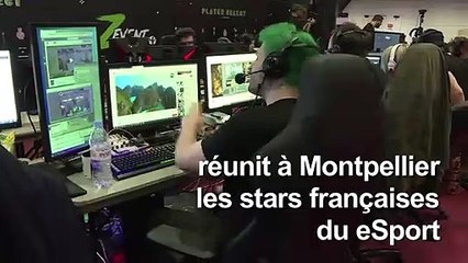 "Z event", le marathon caritatif des stars du jeu vidéo
