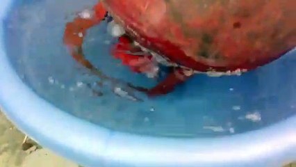 UNDER WATER LPG GAS CYLINDER EXPERIMENT _ WITH MR CRAZY SCIENTIST_Trim