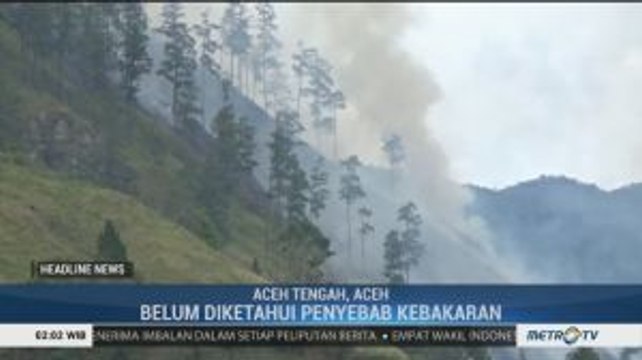 Puluhan Hektare Hutan Pinus di Aceh Tengah Terbakar