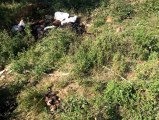 Bursa'da bir arazide toprağa gömülü halde binlerce ölü tavuk bulundu