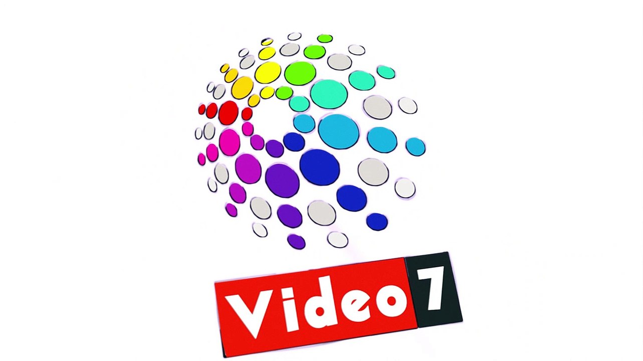 المصريون بأمريكا يحتفلون بالرئيس على أنغام الأغانى الوطنية