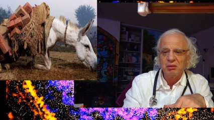 536 NOUVELLE DECOUVERTES DIABETE TYPE 2 EXPLICATIONS AVEC HUMOUR