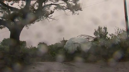 제주 육상 ·해상에 태풍 경보...여객선 ·항공기 통제 / YTN