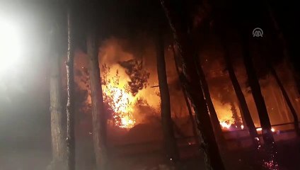 Adana'daki orman yangını