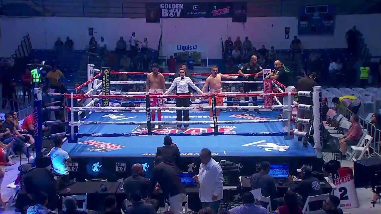Adame vs Rios Decision