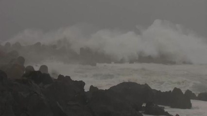 제주 육상·해상에 태풍 경보...여객선·항공기 통제 / YTN