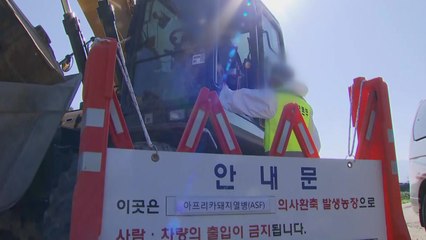 '파라' 북상 양돈 농가 초비상...태풍 지나면 원점서 다시 / YTN