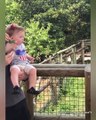 Funny Baby Reaction With Animals At The Zoo - Funny Baby Fails Moments