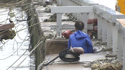 완도 태풍 타파 근접...비바람 더 강해져 / YTN