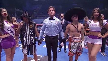 Diaz Vs Cuadro - decision Full clip