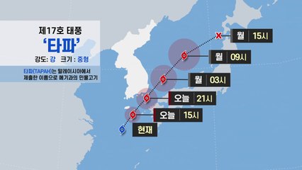 태풍 '타파' 제주 지나 남해로...제주· 남부 강풍에 물폭탄 / YTN