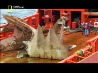 Megastrutture - Megapiattaforme...!!!