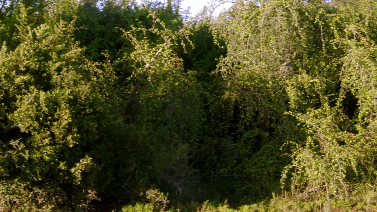 Great Parks of Africa  - Par 1: Addo Elephant National Park