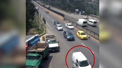 Se para en la autopista para recoger a un perro y peligroso accidente
