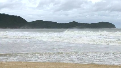 완도 태풍 경보...강풍 불며 최대 고비 / YTN