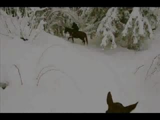 Rando Cheval hivernale - Haut Breda
