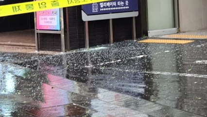 [영상] 부산서 강풍에 유리창 '와장창'...가림막도 무너져 / YTN