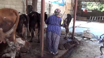 Kadın muhtardan köylülere sinema hizmeti