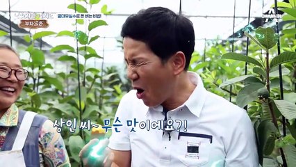 돈~을 부르는 '열대과실수' 부자三촌이 돈버는 비법은 다양한 과실수 묘목 판매?!