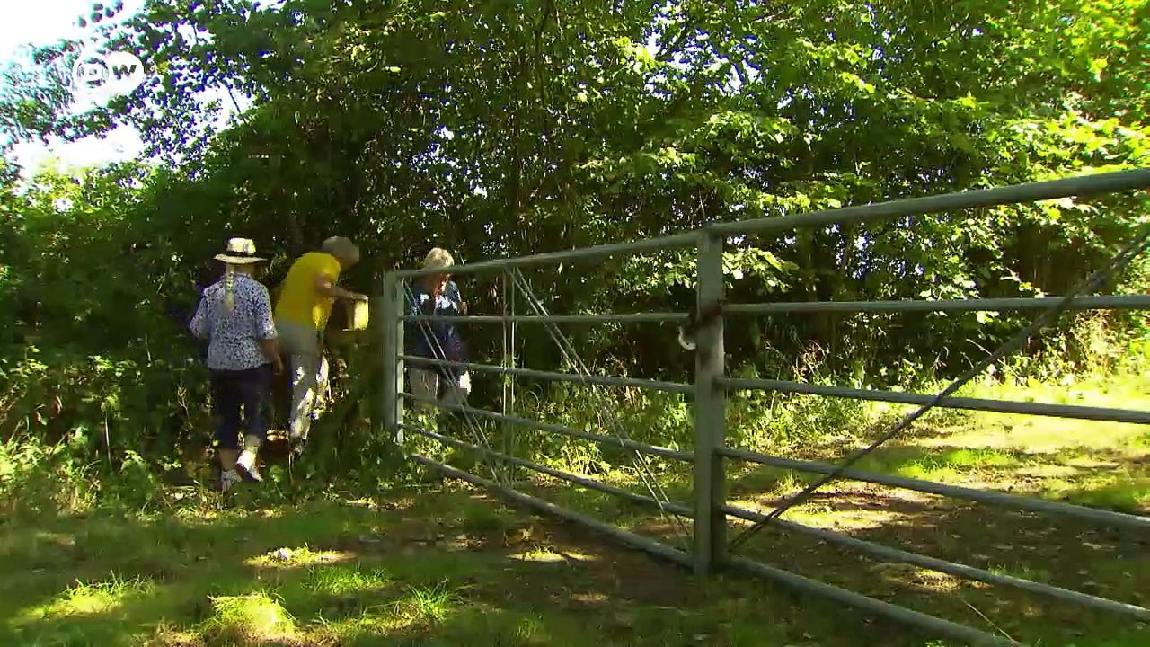 Großbritannien: Briten streiten um ihr Wegerecht | Fokus Europa