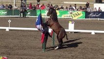 Spanish horse show in Santiago, Chile