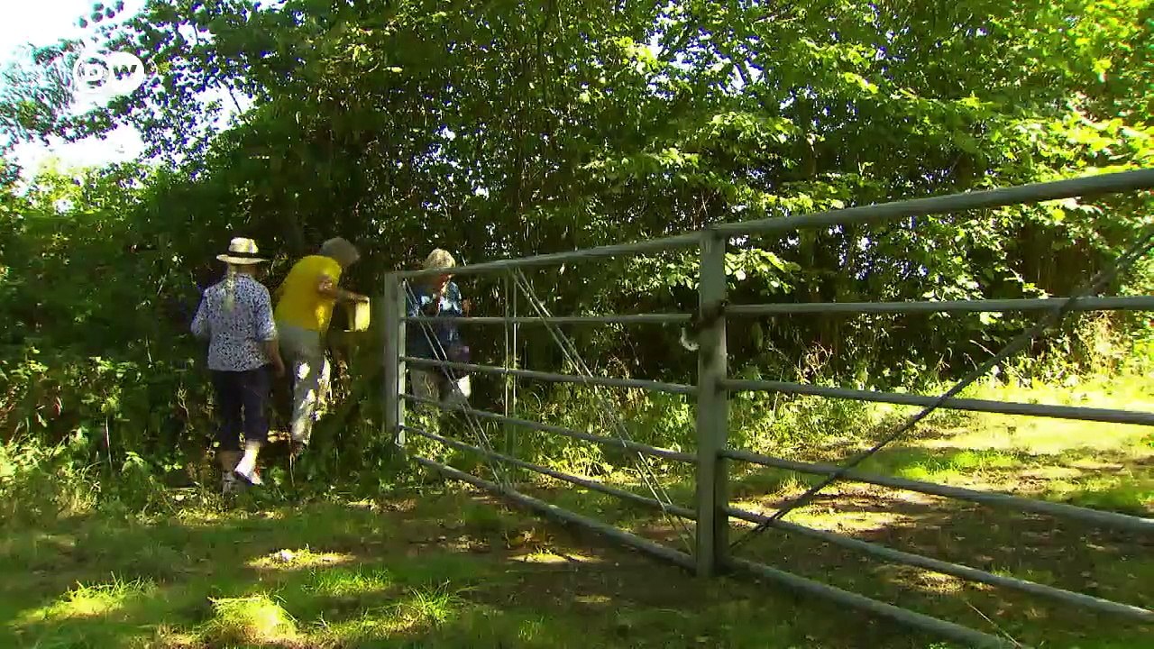 UK: Dispute over British' "right to roam" | Focus on Europe