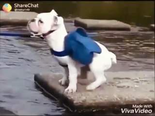 WATSAPP STATUS VIDEO NEW MALAYALAM