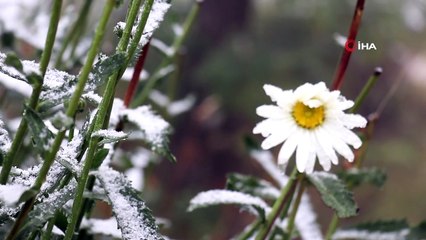 Limni Gölü'ne Mevsimin İlk Karı Yağdı, Ortaya Kartpostallık Görüntüler Çıktı