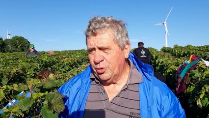 Quévy: 200 vendangeurs au Chant d'Eole