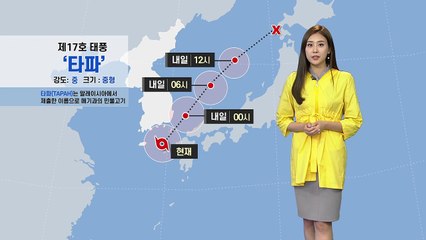 [날씨] 태풍 '타파' 세력 약해져...해안가·일부 산지 초속 50m 강풍 / YTN