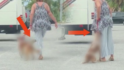 Köpeğine eziyet etti, gözaltına alındı!