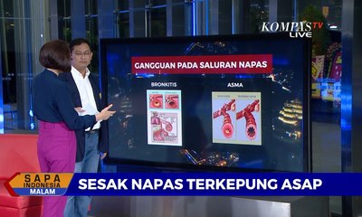 Скачать видео: Dialog - Sesak Napas Terkepung Asap Kebakaran Hutan, Dokter Paru: Sangat Berbahaya!