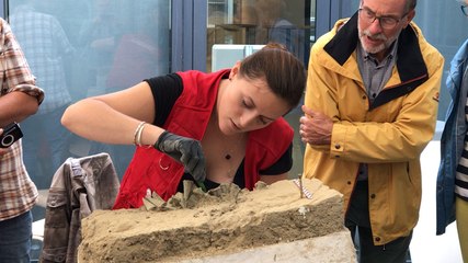 Patrimoine à Bayeux. Le « trésor » des haches dévoilé en direct
