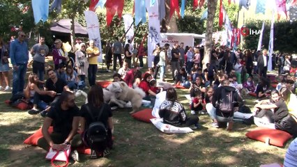 Türkiye'nin ilk Evcil Hayvan ve Yaşam Festivali ''Petival' renkli anlara sahne oldu