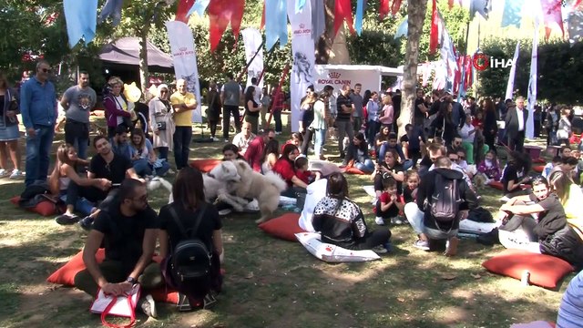 Türkiye'nin ilk Evcil Hayvan ve Yaşam Festivali ''Petival' renkli anlara sahne oldu